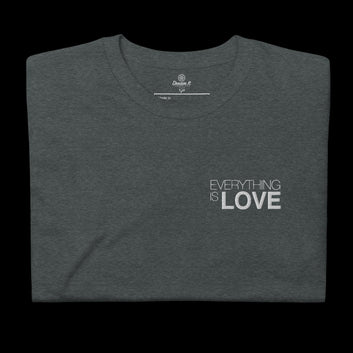 T-shirt brodé unisexe à manches courtes EVERYTHING IS LOVE