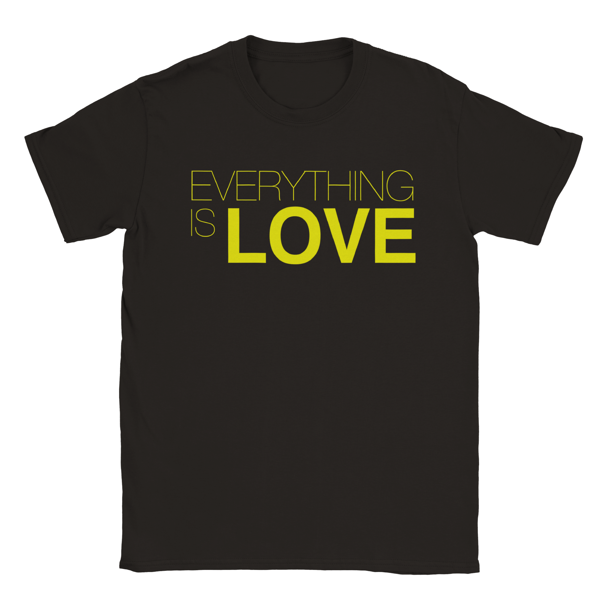T-shirt unisexe Everything Is Love